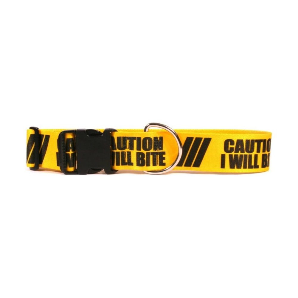 Yellow Dog Design " Caution I Will Bite" 1" Wide Small Collar (10" - 14")